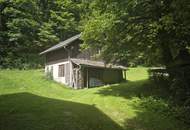 Charmantes Mehrparteienhaus in Lackenhof am Ötscher – Ihr alpines Ferienrefugium