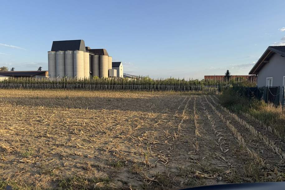 Grundstücksteilfläche für ein Eigenheim in Judenau – ca. 800, 900 oder 1.000 m², Grund und Boden-kauf, 280.000,€, 3441 Tulln