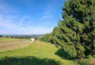 Großes Grundstück in Sankt Martin im Mühlkreis - kein Bauzwang