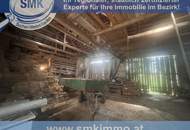 Solides Bauernhaus mit Innenhof in sonniger Randlage!