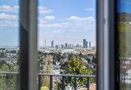 DELUXE ++ PENTHOUSE mit WIENBLICK - Erstbezug