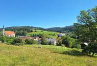 Baugrundstück ohne Bauzwang: Reichenau im Mühlkreis erwartet Sie