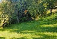 Ihre Liegenschaft mit soviel Wald! Errichten Sie hier Ihr Traumhaus!