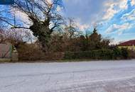 Baugrundstück in Altenburg – ruhige Wohnlage nahe Horn im Waldviertel