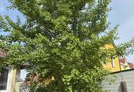 "Kraft, Vitalität und Harmonie"