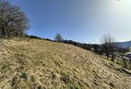 7 Parzellen verfügbar - Tolles Baugrundstück am Sonnenhang in Prenning bei Deutschfeistritz – 3.700 m², aufteilbar in 7 Parzellen