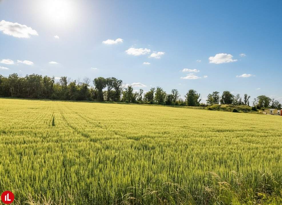 Betriebsgrundstück "ANTONIUS" in Margarethen am Moos