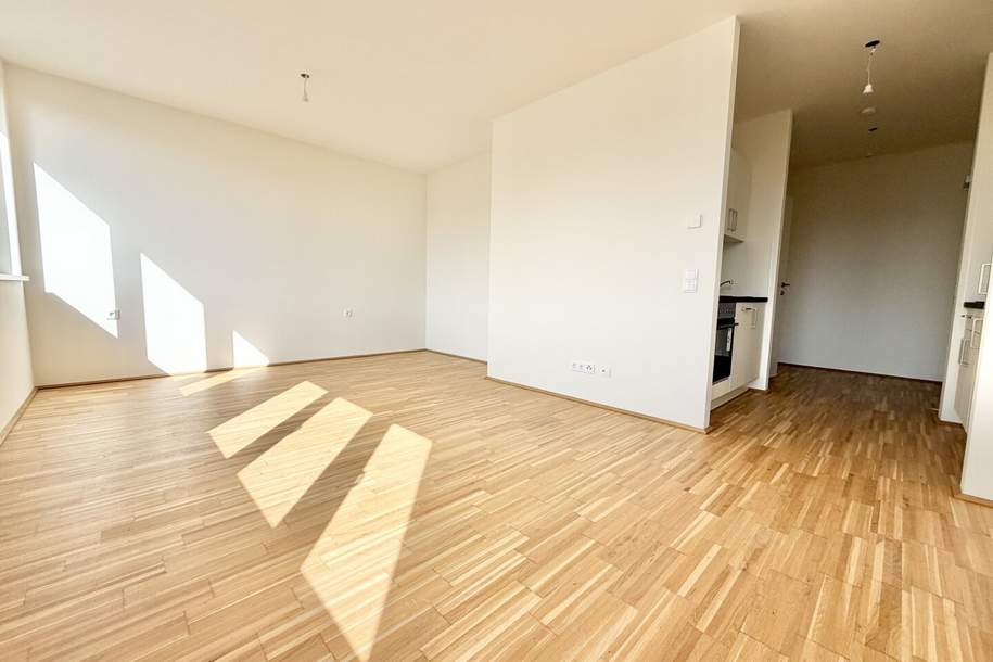 MODERNE ERSTBEZUGSWOHNUNG AKTION 1. MONAT MIETZINSFREI - Ein ZIMMER Wohnung ab Sofort verfügbar, Wohnung-miete, 668,70,€, 8010 Graz(Stadt)