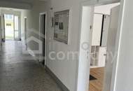 Modernes Geschäftslokal/Büro/Praxis 51m² in 1130 Wien, Ruhelage