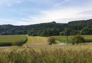 Sonnige Aussichten für Ihr Eigenheim in Goggitsch