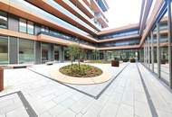 Grünblick beim Stadion