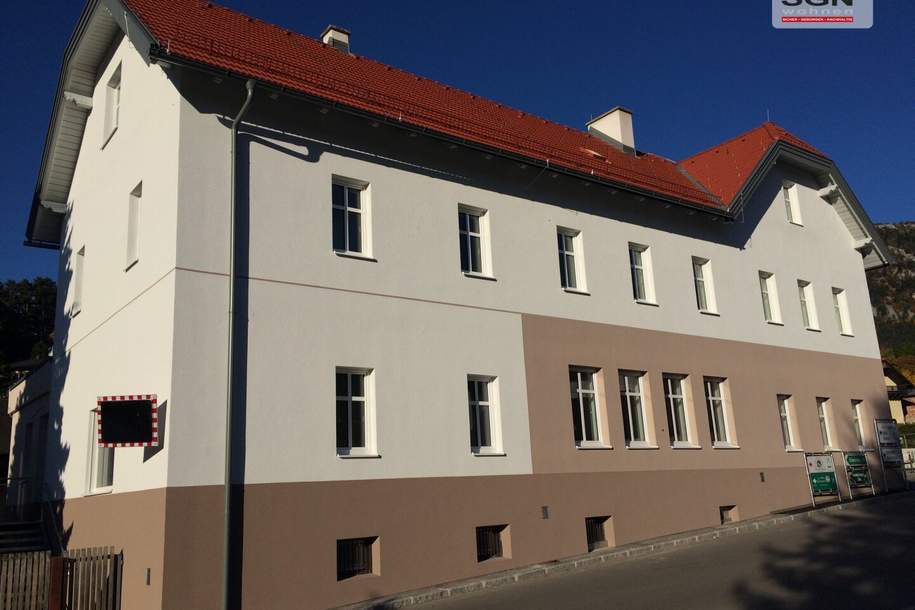 Schöne 3-Zimmer Altbauwohnung -flexible Miete möglich, Wohnung-miete, 836,02,€, 2733 Neunkirchen