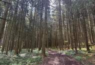 Ca. 9 ha Waldfläche zwischen Gurten und Eitzing - überwiegend Nadelholz