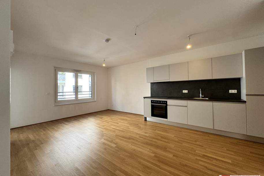 moderne Wohnung in einer Gegend mit hervorragender Infrastruktur zu vermieten!, Wohnung-miete, 975,00,€, 1210 Wien 21., Floridsdorf