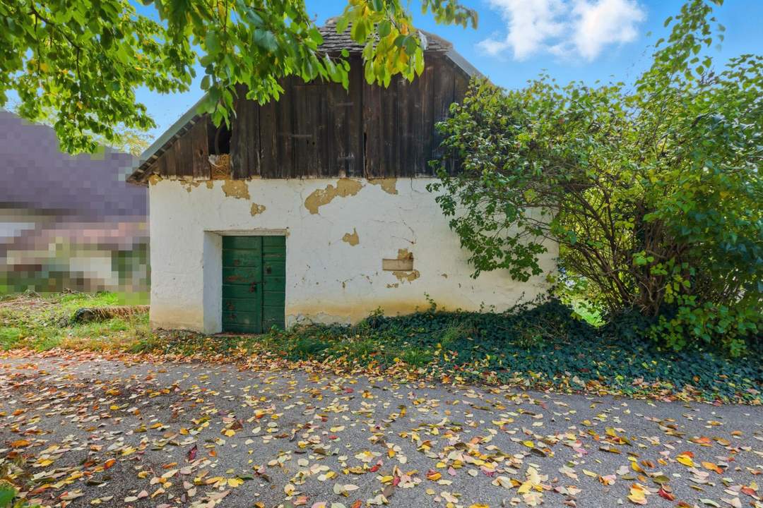 Revitalisieren und Gestalten nach eigenen Ideen: Weinkeller und Garten im Einklang mit der Natur!