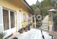 Großzügige Villa mit zauberhaftem Garten und Pool am Rande des Wienerwals