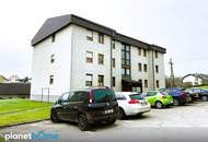 Singlehit - Ideal für Anleger oder anspruchsvolle Singles