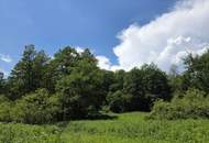 Waldgrundstück