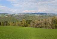 2 Baugrundstücke in traumhafter Aussichtslage