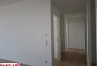 Sundowner über den Dächern!