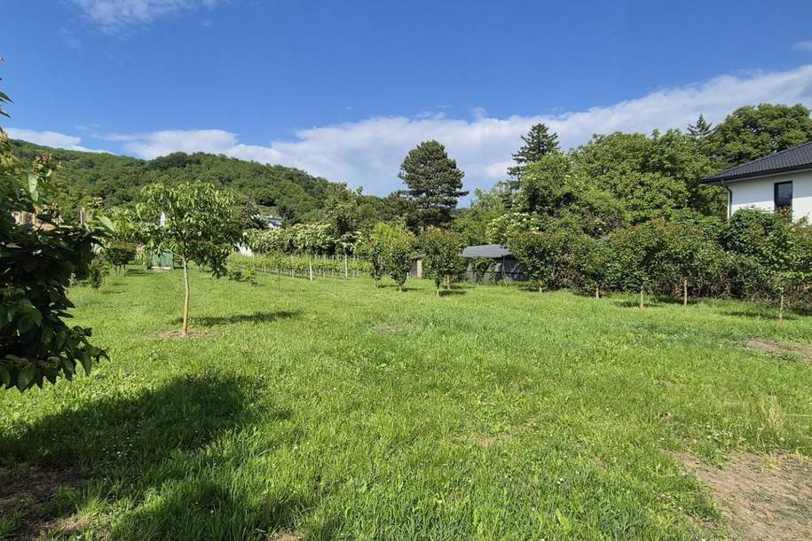 Villenbaugrund in ruhiger Langenzersdorfer Siedlungslage, Grund und Boden-kauf, 1.395.000,€, 2103 Korneuburg
