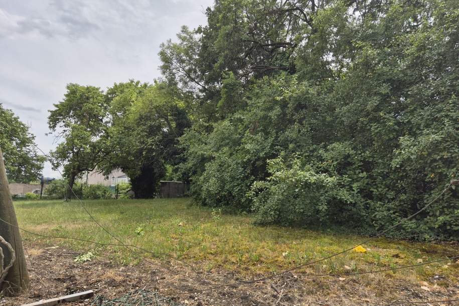 "BauenAMring", Grund und Boden-kauf, 490.000,€, 2301 Gänserndorf