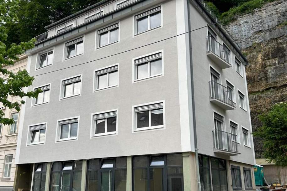 Erstbezug - Hochwertige 3.Zi.-Wohnung Augustinergasse (Top 5), Wohnung-miete, 2.170,40,€, 5020 Salzburg(Stadt)