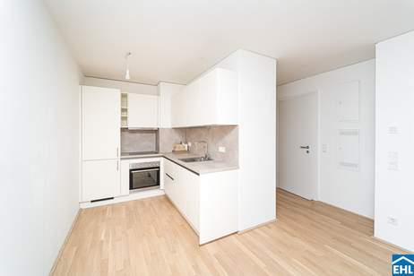 Wohnimmobilien mit Potenzial – investieren im 9. Bezirk, Wohnung-kauf, 275.000,€, 1090 Wien 9., Alsergrund