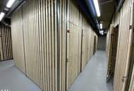 Ruhelage im Kirschblütenpark