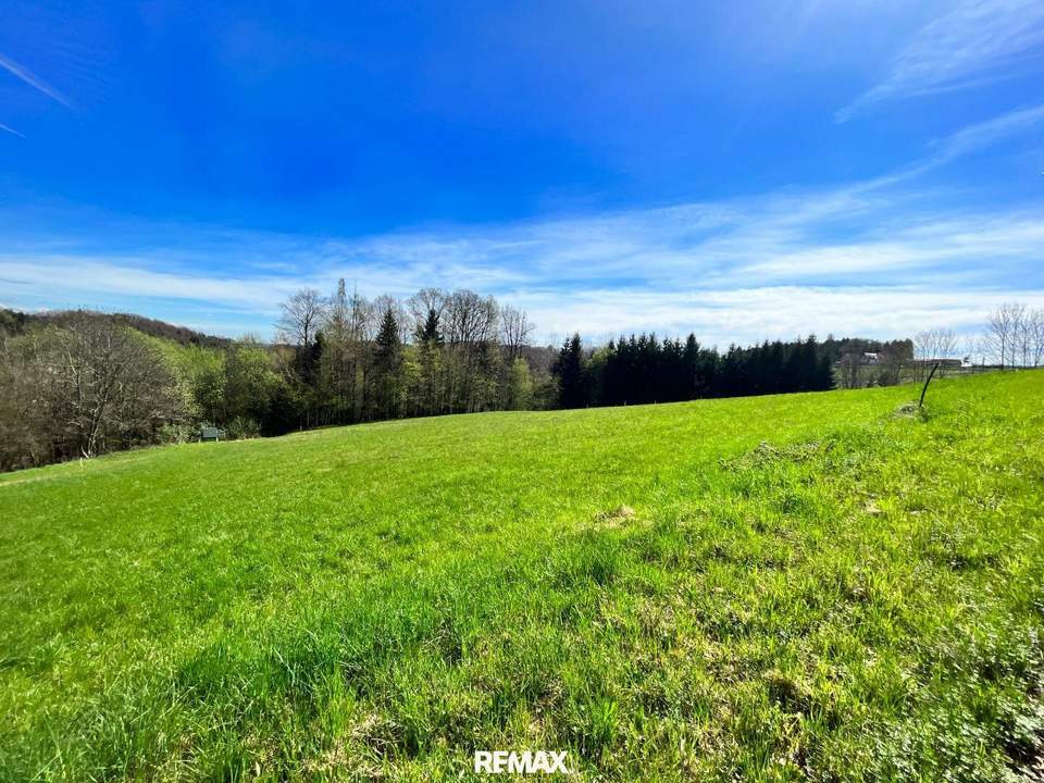 RIES: 590 m² sonniges Baugrundstück nahe Graz!