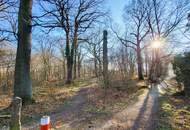 "NEUER PREIS!" RENOVIERTE WOHNUNG MIT LOGGIA UND PARKPLATZ IN HERRLICHER WALDRAND-RUHELAGE