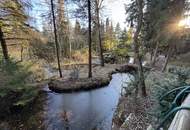 Fischer Paradies - Blockhaus mit Fischteich