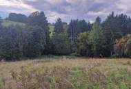 Seltene Gelegenheit Grundstück auch geeignet für Tiny Häuser in traumhafter Aussichtslage, Stadtbergen bei Fürstenfeld