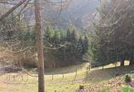 Zwei sanierungsbedürftige Häuser in absoluter Ruhe/Alleinlage