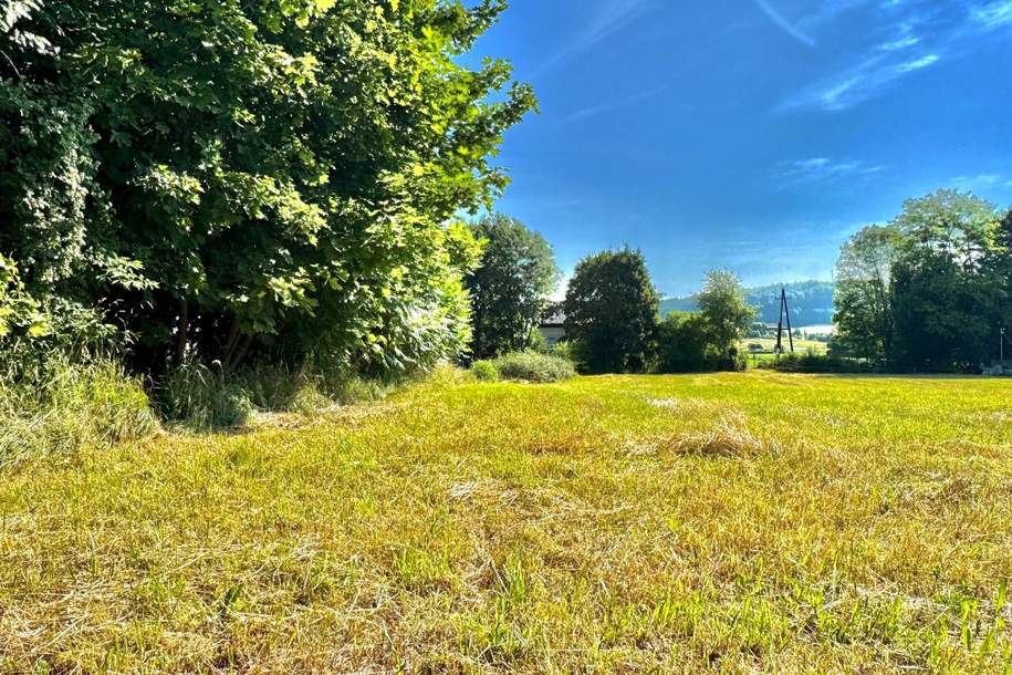 Großzügiges Grundstück in der südoststeirischen Gemeinde Kirchbach-Zerlach, Grund und Boden-kauf, 134.000,€, 8082 Südoststeiermark