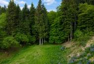 TRAUMHAFTES BAUGRUNDSTÜCK IN RUHELAGE & SEENÄHE – 2.069 M² FÜR IHR EIGENHEIM!