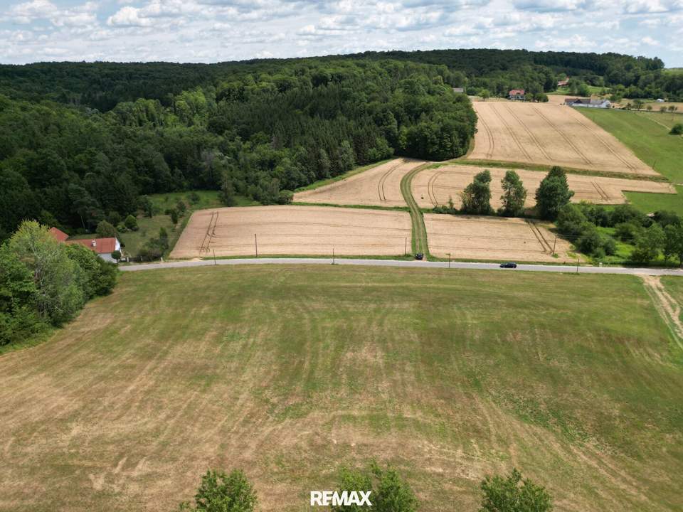Großzügiges Baugrundstück in leichter Hanglage ohne Bauzwang im "Apfeldorf Kukmirn" im Südburgenland