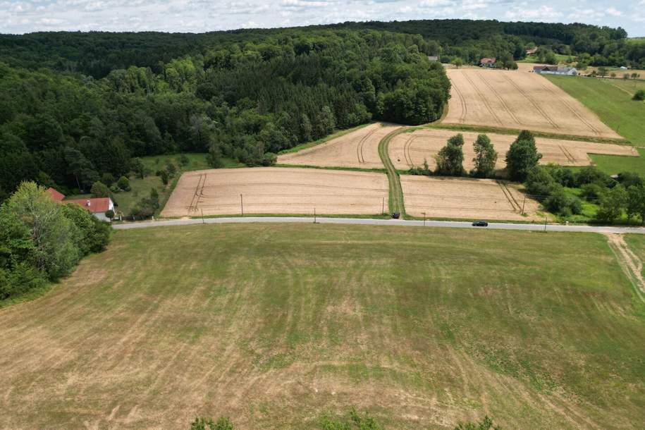 Großzügiges Baugrundstück in leichter Hanglage ohne Bauzwang im "Apfeldorf Kukmirn" im Südburgenland, Grund und Boden-kauf, 165.000,€, 7543 Güssing