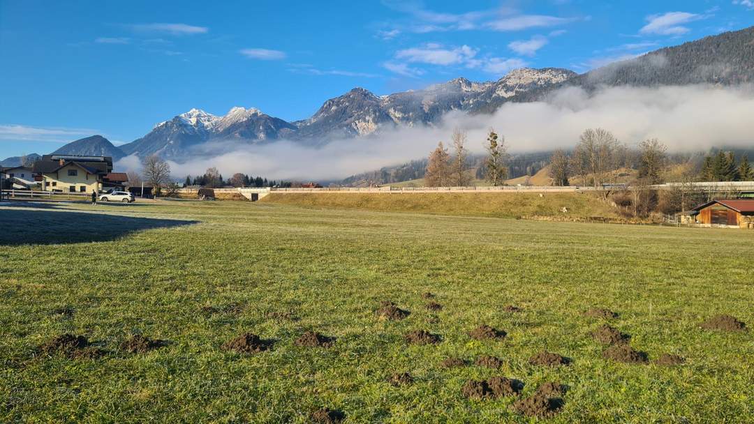 Kaufanbot vorliegend! Nr. 4 von 6: Exklusives Baugrundstück in guter Lage!