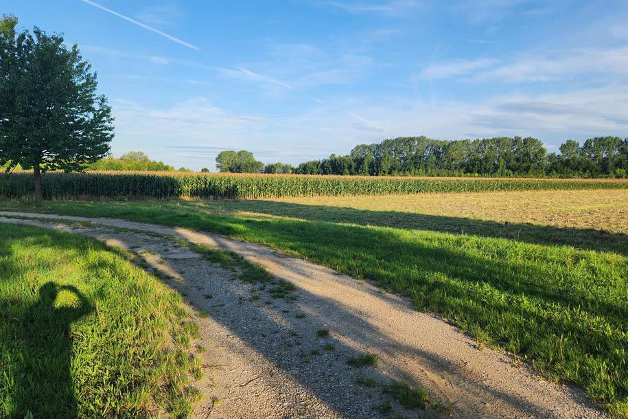 EINE SELTENE GELEGENHEIT AUF EINE KLEINE ACKERFLÄCHE IN FREUNDORF - ZUSAMMENHÄNGENDE LANDWIRTSCHAFTLICHE FLÄCHE, Grund und Boden-kauf, 150.000,€, 3441 Tulln