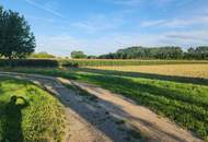 EINE SELTENE GELEGENHEIT AUF EINE KLEINE ACKERFLÄCHE IN FREUNDORF - ZUSAMMENHÄNGENDE LANDWIRTSCHAFTLICHE FLÄCHE