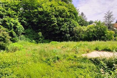 Villenbaugrund (aufgeschlossen!) mit 962 m² in Weidlinger Ruhelage, Grund und Boden-kauf, 798.000,€, 3400 Tulln