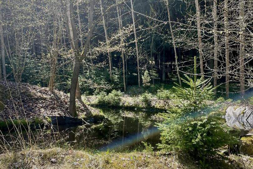 Autarkes Haus auf ca. 7670 m² mit Wald und Fischteich!, Haus-kauf, 625.000,€, 4240 Freistadt