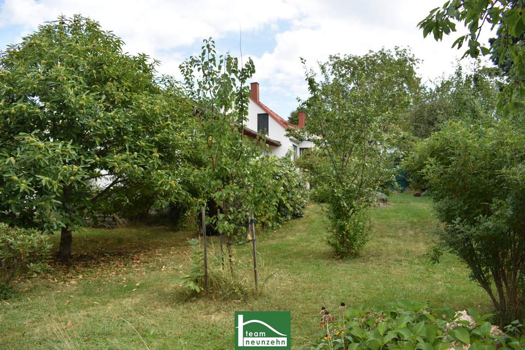 Ländliche Idylle im Burgenland: Charmantes Landhaus mit 4 Zimmern, 130 m², Garten, Terrasse, u.v.m. - JETZT ANFRAGEN