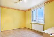 ICH BIN GERÄUMIG - WOHNUNG in GÄNSERNDORF