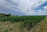 SONNIGE LEBENSQUALITÄT AM LAND OHNE BAUZWANG - LEISTBARES BAUGRUNDSTÜCK IN SIEDLUNGSLAGE IN GRAFENWÖRTH