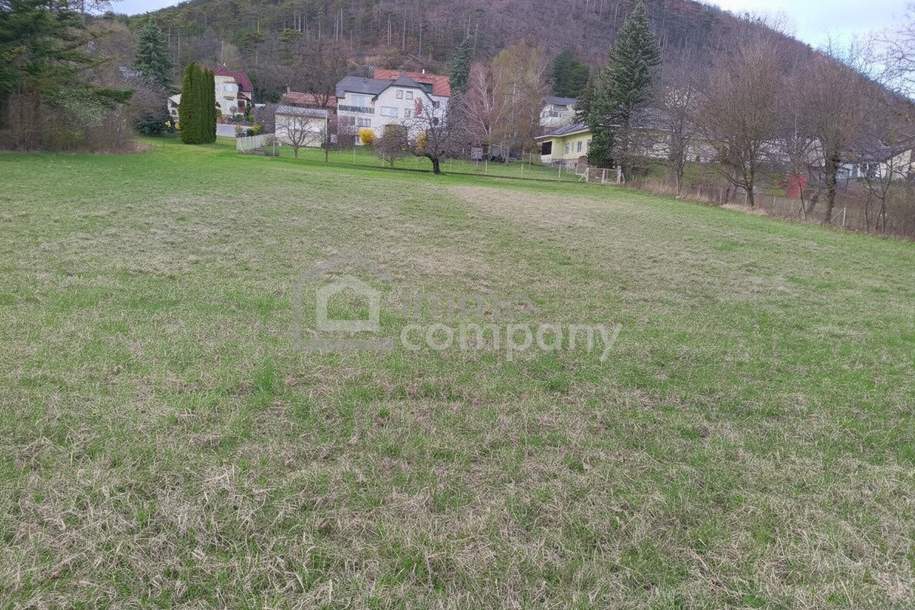 Großflächiges, aufgeschlossenes Baugrundstück mit 2772m² , bei richtiger Teilung sind bis zu 6 Wohneinheiten möglich, Grund und Boden-kauf, 473.500,€, 2722 Wiener Neustadt(Land)