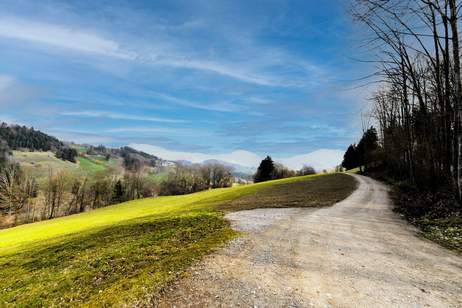 RARITÄT IN ABSOLUTER EINZELLAGE: IDYLLISCHES HIDEAWAY MIT NEBENGEBÄUDE &amp; GROSSEM POTENZIAL, Haus-kauf, 350.000,€, 3204 Sankt Pölten(Land)