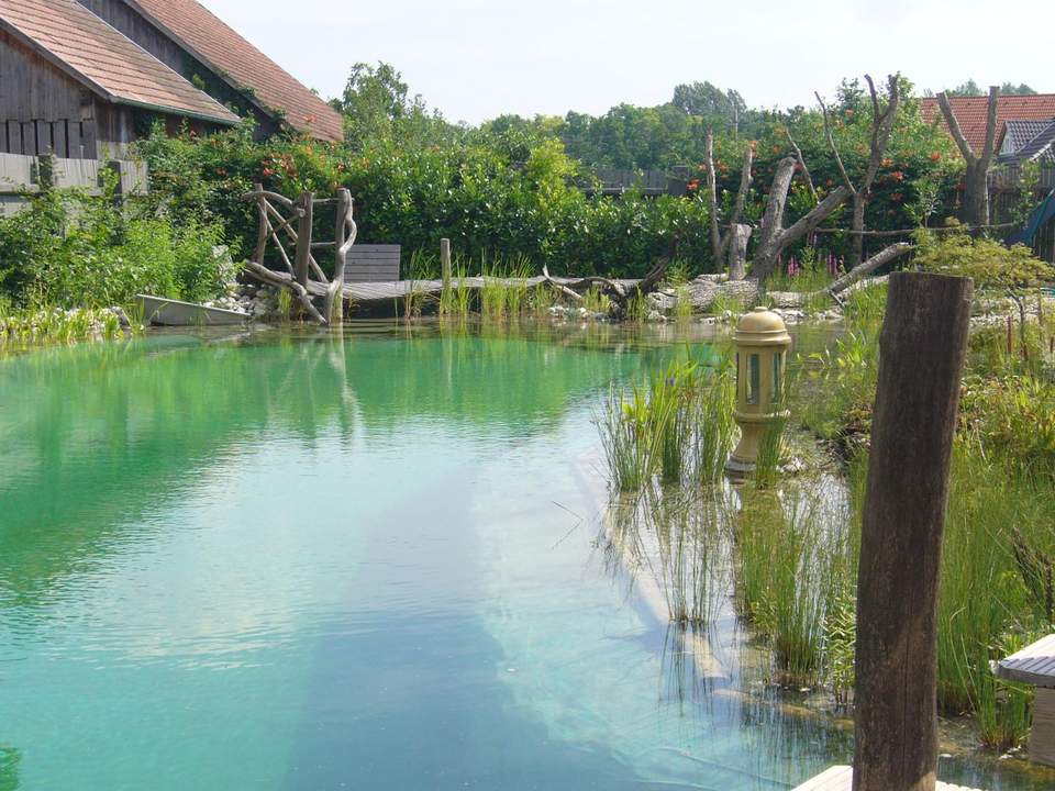 - 1.974 M² GRUNDSTÜCK MIT ALTBESTAND & ERTRAGSPOTENZIAL