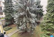 2,5 Zimmer in der Josefstadt mit Garten
